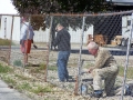 1287146737_paintingfence1