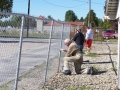 1287146756_paintingfence2