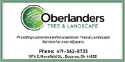 Oberlanders Tree Landscape